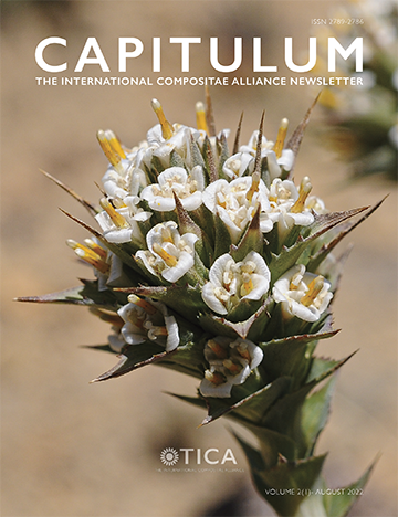 capitulum_cover_555.PNG
