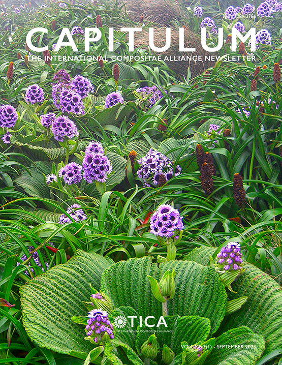 capitulum_cover_555.PNG