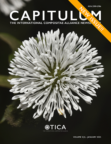 capitulum_cover_555.PNG